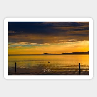Sunrise at Corner Inlet, Yanakie, South Gippsland Sticker
